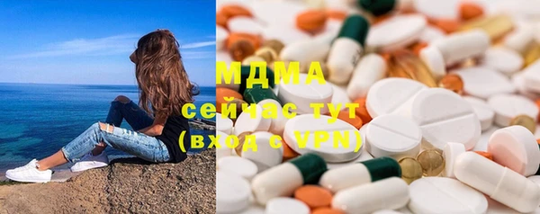молекула духа Вяземский