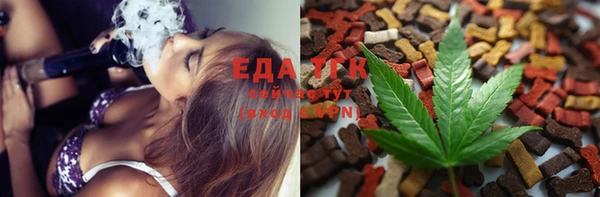 молекула духа Вяземский