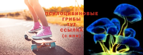 молекула духа Вяземский