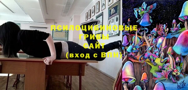 молекула духа Вяземский