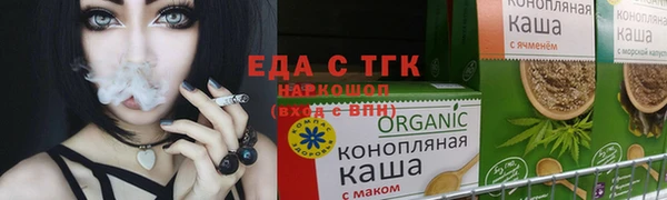 молекула духа Вяземский