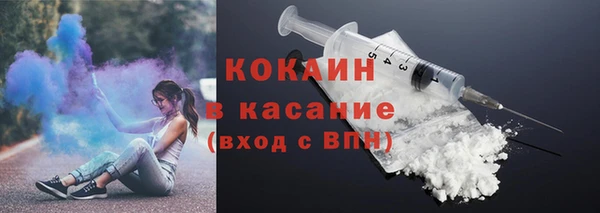 молекула духа Вяземский