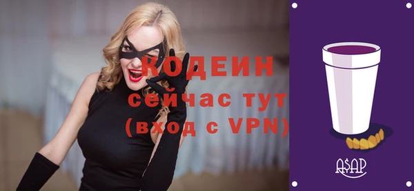 молекула духа Вяземский