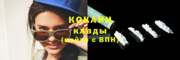 молекула духа Вяземский