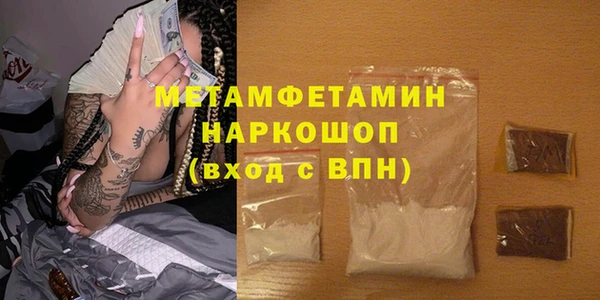молекула духа Вяземский