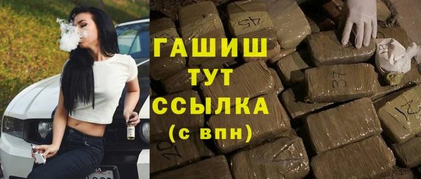 молекула духа Вяземский