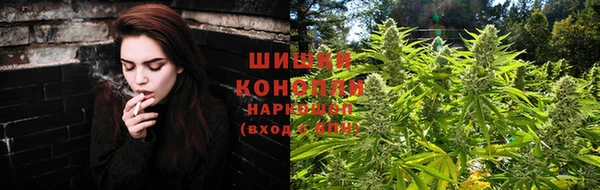 прущая мука Горняк