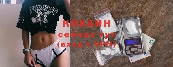 прущая мука Горняк