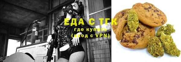 молекула духа Вяземский
