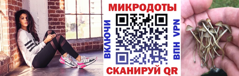 Псилоцибиновые грибы прущие грибы  Купить где  Луза 