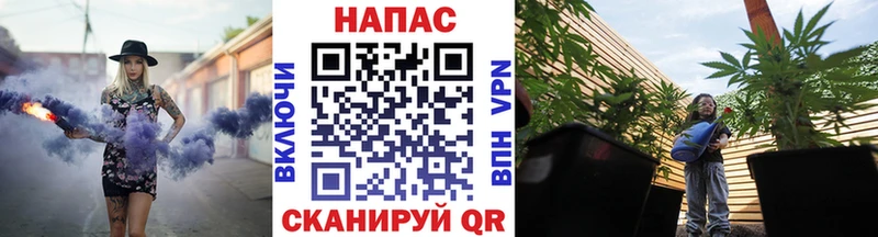 Бошки марихуана ГИДРОПОН  Купить закладки  Луза 